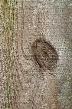 Wood background Stock Photos