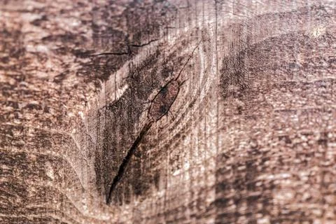 Wood background Stock Photos