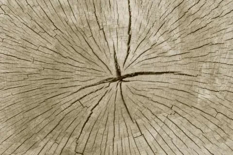 Wood as a background Stock Photos