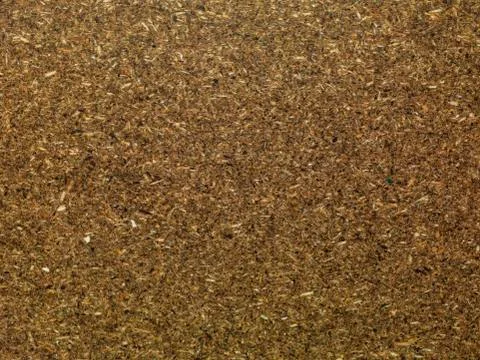 Wood background Stock Photos