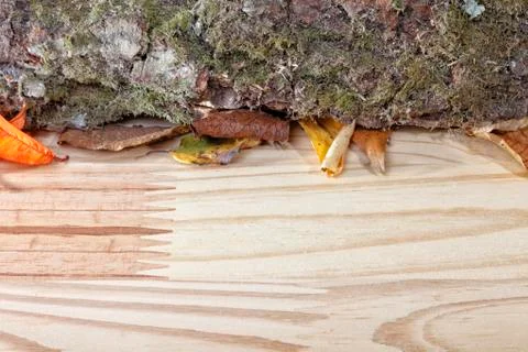 Wood Background Stock Photos