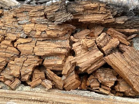 Wood background Foto stock