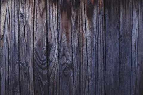 Wood background Stock Photos