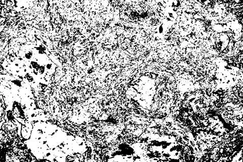 Wood Background Surface Natural Pattern. Vector Black and White Background Stock Illustration
