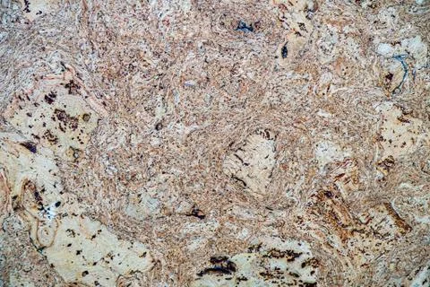 Wood Background Surface Natural Pattern. Natural Pattern Stock Photos