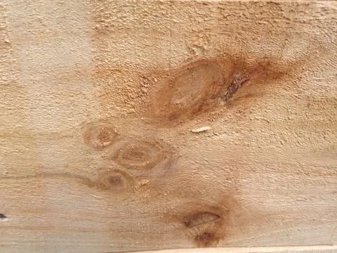 Wood background texture Stock Photos