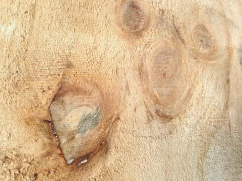 Wood background texture Stock Photos