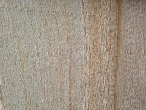 Wood background texture Stock Photos