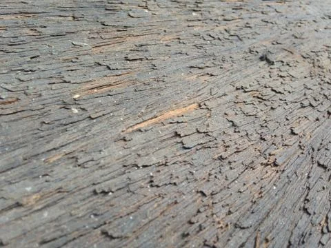 Wood background texture Stock Photos