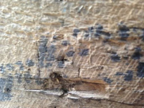 Wood background texture Stock Photos