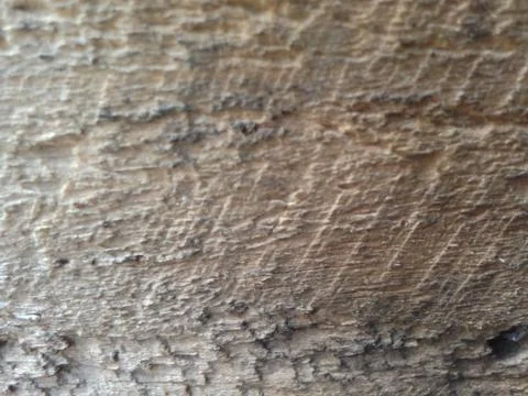 Wood background texture Stock Photos