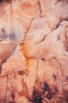 WOOD BACKGROUND TEXTURE Stock Photos