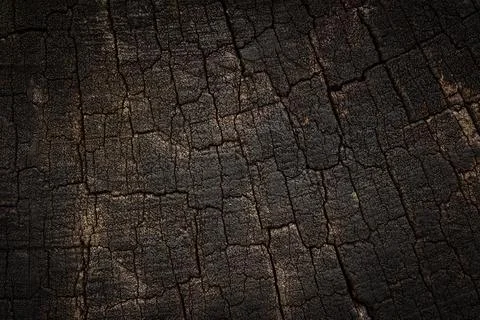 Wood background texture Stock Photos