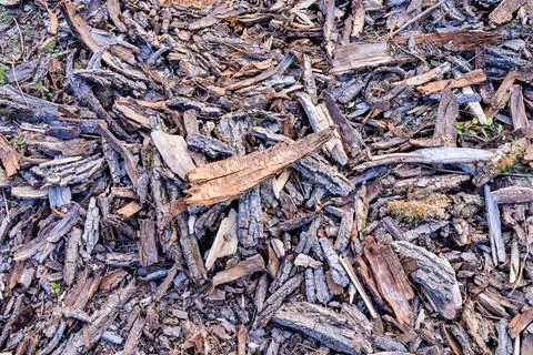 Wood Background Texture Stock-Fotos