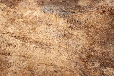 Wood background. tree without bark Stock Photos