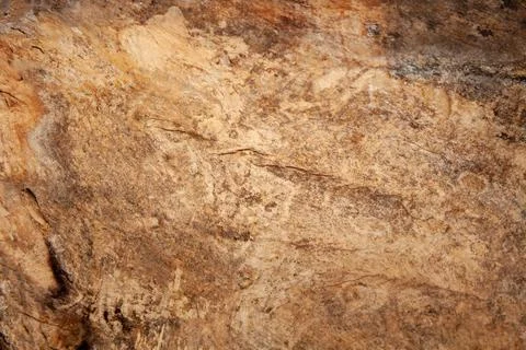 Wood background. tree without bark Stock Photos
