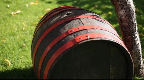 Wood barrel by tree 库存影片 890524