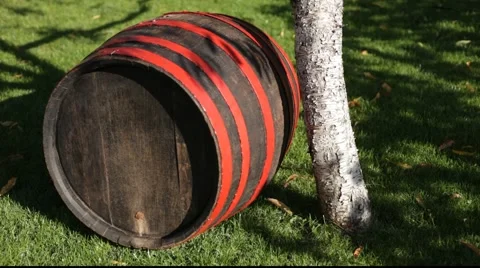 Wood barrel by tree 库存影片 890601