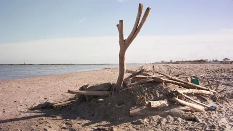 Wood at the beach landscape Stock Footage 237533875