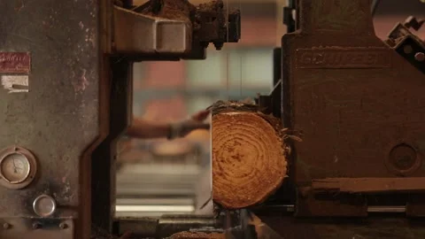 Wood being cut at a lumberyard Stock Footage 235650879