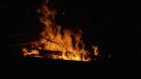 Wood Being Thrown onto a Campfire Stock Footage 310861801
