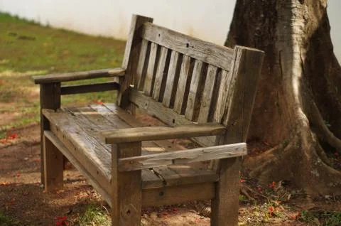Wood bench under a tree Stock Photos