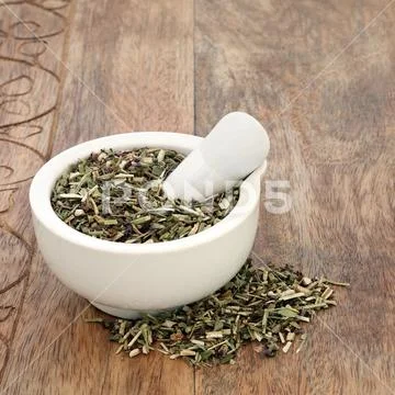Wood Betony Herb Stock Photos