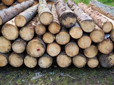 Wood blocks Stock Photos