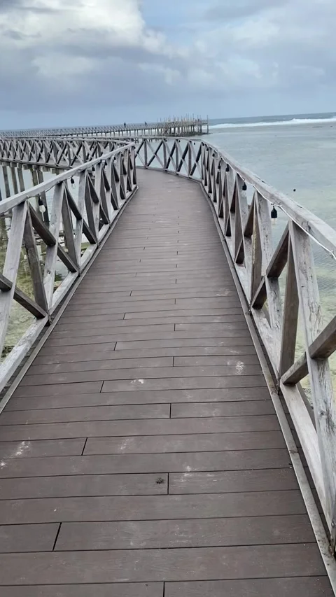 Wood Boardwalk Stock Footage 246252939