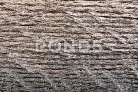Wood bog oak texture background for your unique project. Stock Photos