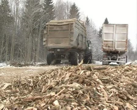 Wood branch chips fuel Stock Footage