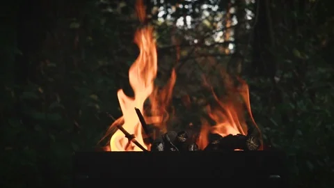 The Wood Branches Burning In The Braizer. Stock Footage 94598564