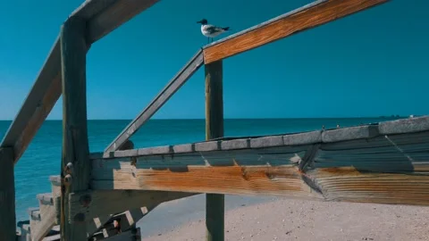 Wood Bridge Beach Access Bridge Blue Waves and Bird sitting in Background Stock Footage 236867744