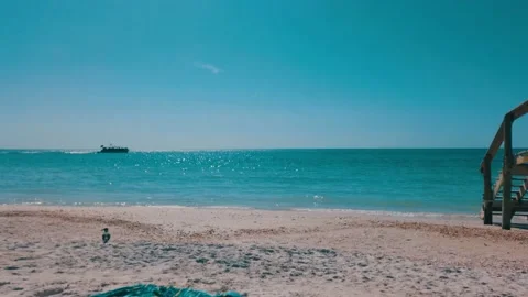 Wood Bridge Beach Access Bridge Blue Waves Boat Background Stock Footage 236868636