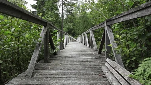 Wood Bridge In The Forest 库存影片 71556655