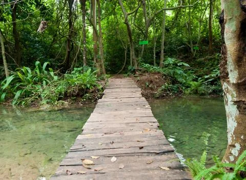Wood bridge in forest. Stock Photos