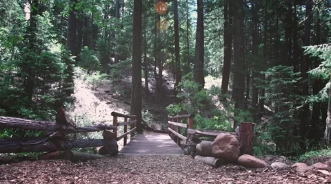 Wood Bridge In The Forrest Stock Footage 62843258