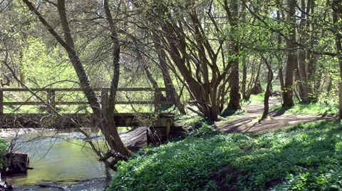 Wood bridge over flowing stream country path woodland Stock Footage 49472114