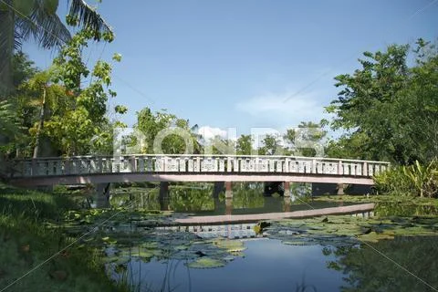 Wood bridge in a park Stock Photos