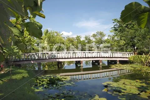 Wood bridge in a park Stock Photos