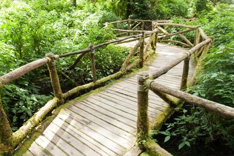 Wood bridge Stock Photos