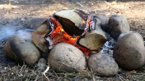 Wood burn in the fire in the forest Stock Footage 70992447