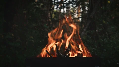 Wood Burning In The Braizer. 库存影片 94586160