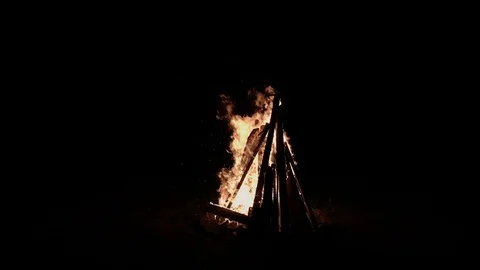 Wood burning in campfire on black background Stock Footage 120138059