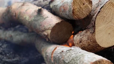 Wood Burning in a Campfire (Close-up) Stock Footage 292562814