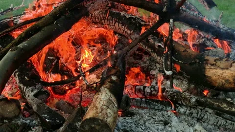 Wood Burning In Campfire Stock Footage 132919021