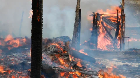 Wood Burning in Fire Stock Footage 38041247