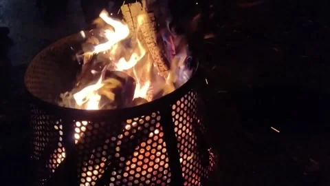 Wood burning on the fire Stock Footage 167118864