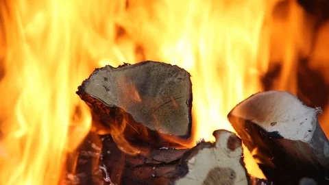 Wood Burning in Fireplace 2 動画素材 110774244