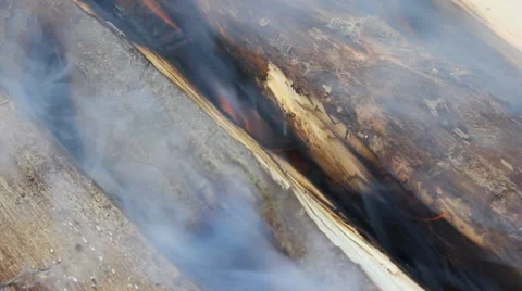Wood burning in the fireplace Stock Footage 67239769